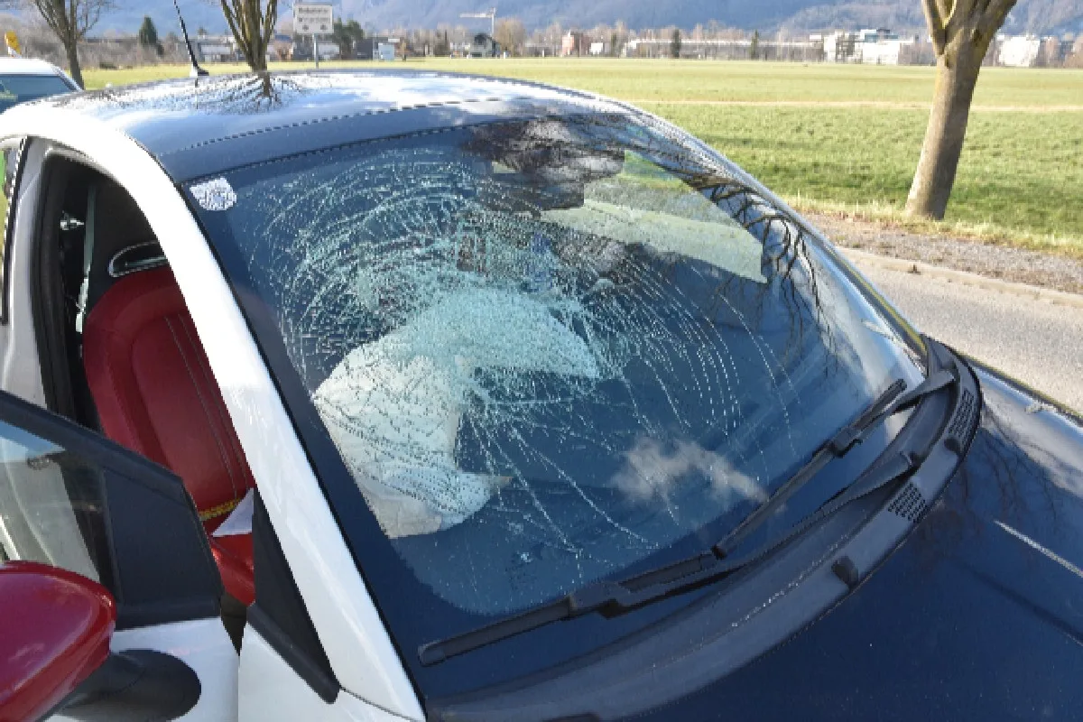 Ruggell FL - Auffahrkollision mit vier involvierten Fahrzeugen!