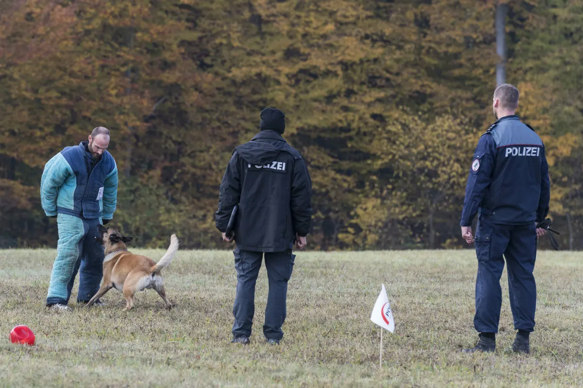 Bottmingen BL - Tobias Erzer mit „Yazz“ gewinnt die Polizeihundeprüfung 