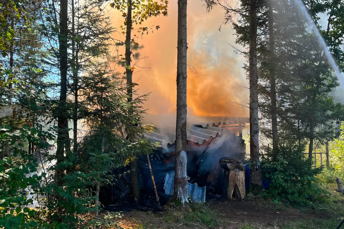 Buchackern TG – Brand von Holzbeige und Unterstand