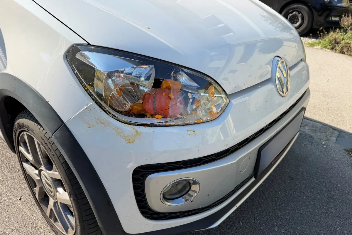 Ein weißer VW hat einen Kürbis und Blätter im rechten Scheinwerfer. Das Fahrzeug steht auf einer asphaltierten Straße.
