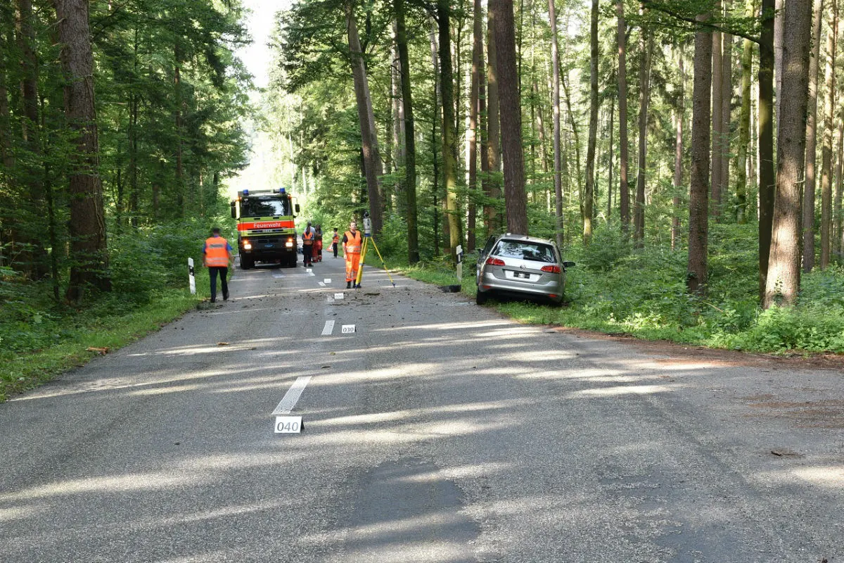 Dägerlen ZH - Autofahrer stirbt bei Selbstunfall - Zeugenaufruf