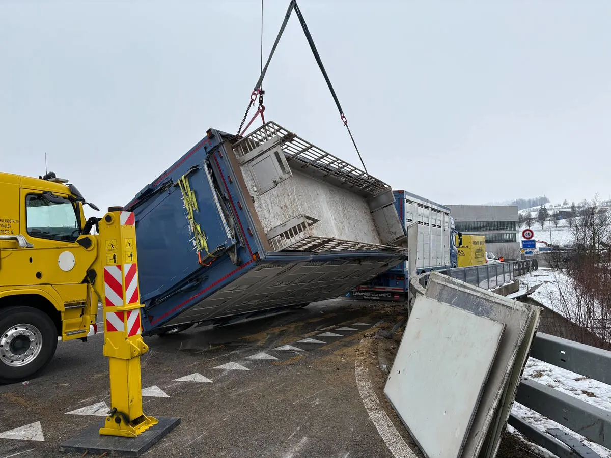Unfall in Bazenheid SG: Anhänger mit 100 Schweinen umgekippt