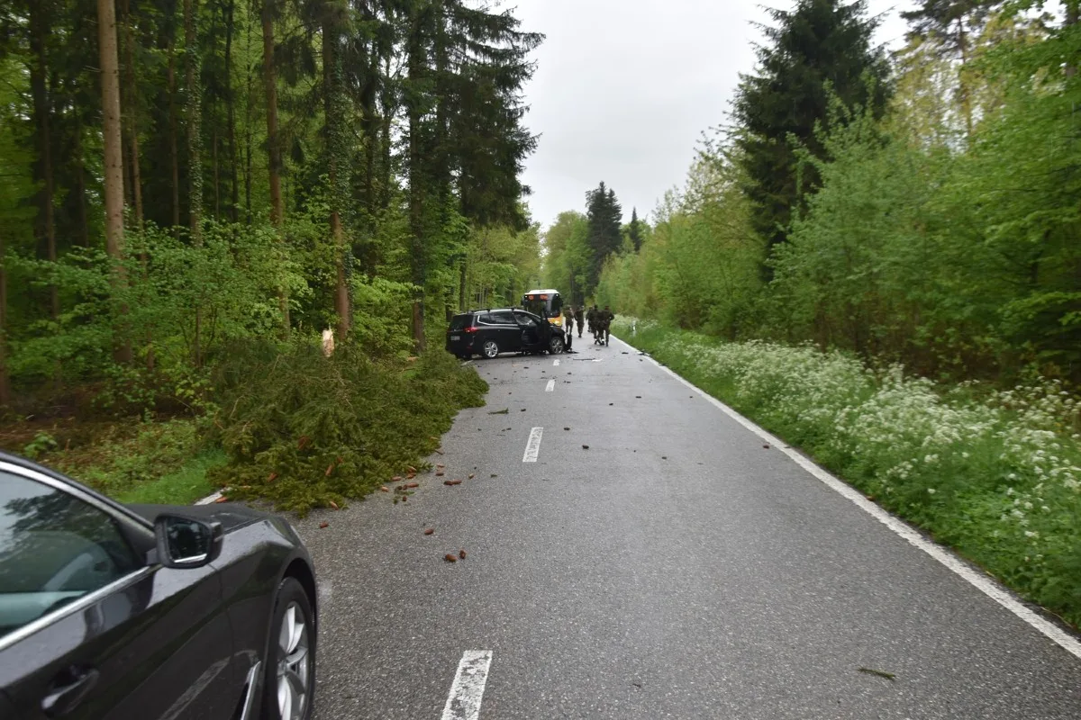Boningen SO - Auto kollidiert mit Baum