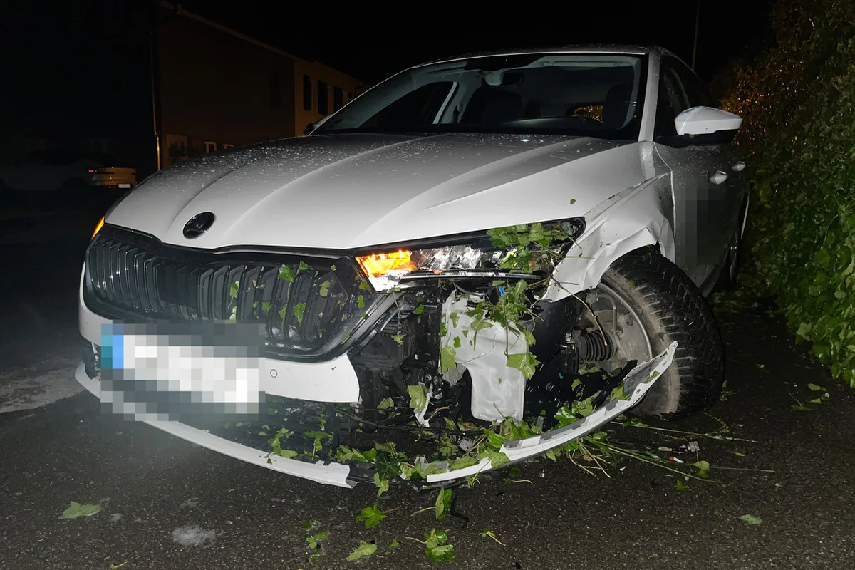 Unfall in Triboltingen TG - Am Steuer eingeschlafen 
