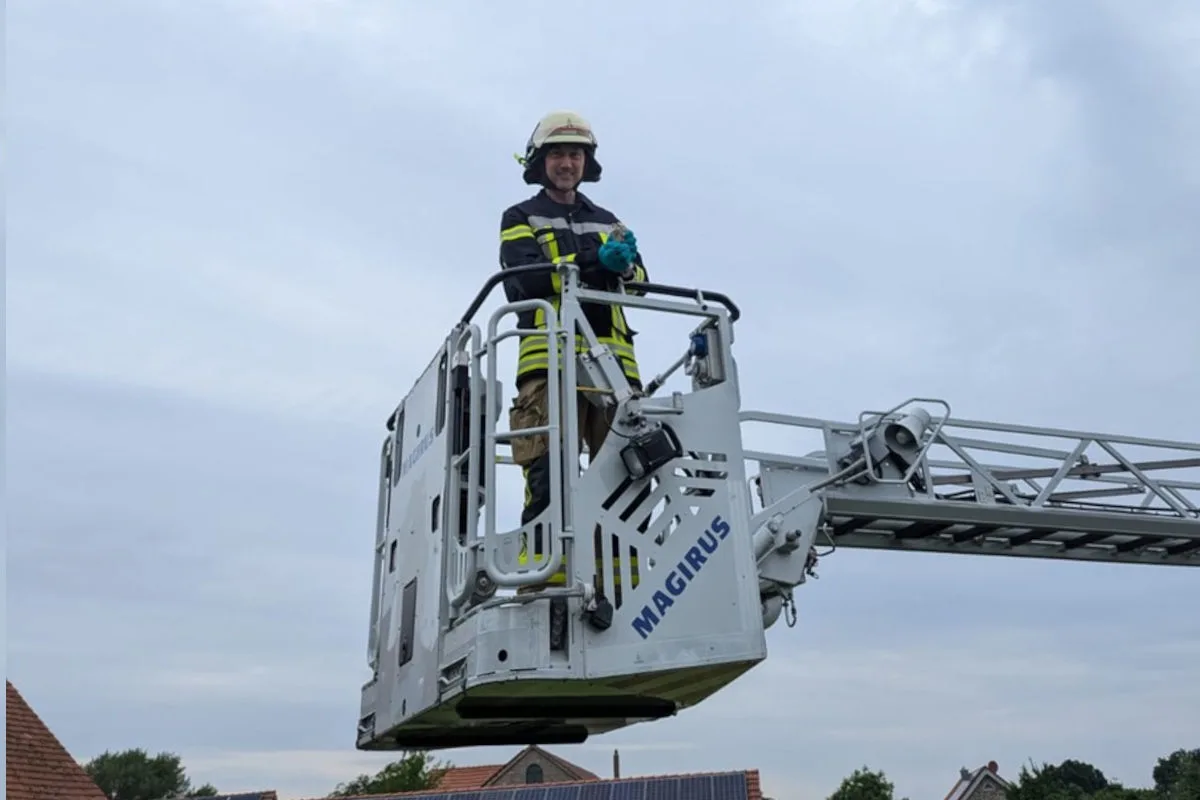 Lage-Heiden NRW – Feuerwehr rettet Turmfalkenküken