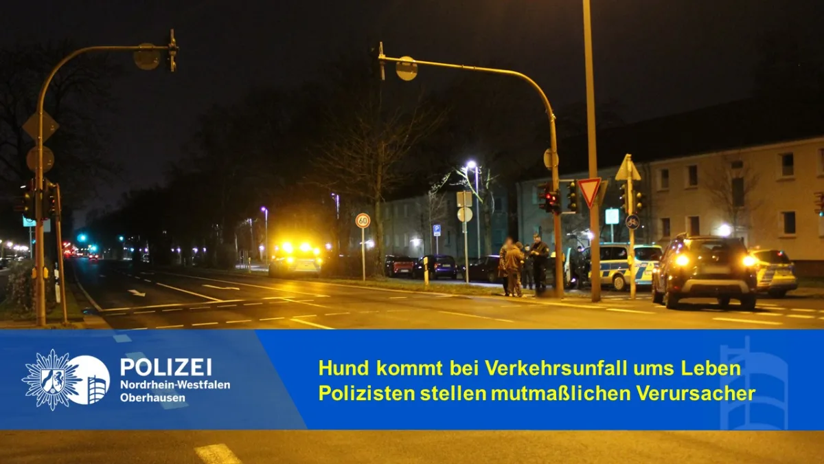 Oberhausen – Hund kommt bei Verkehrsunfall ums Leben – Polizisten stellen mutmaßlichen Verursacher