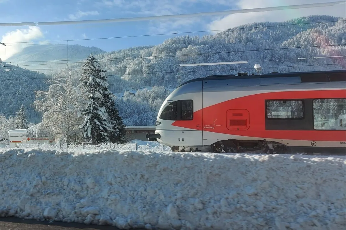 Seewen SZ - Rauchentwicklung in Passagierzug!