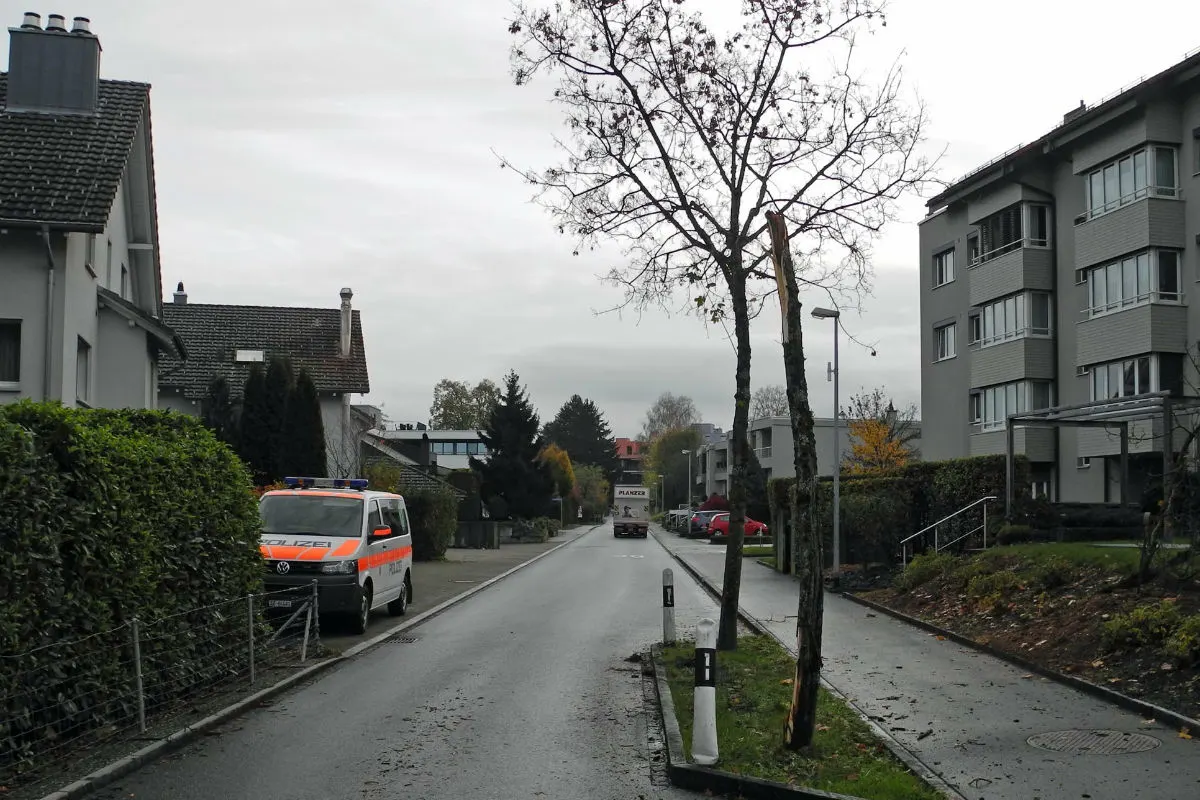Zeugenaufruf Lachen SZ -  Lieferwagen nach Kollision mit Pfosten und Baum weitergefahren