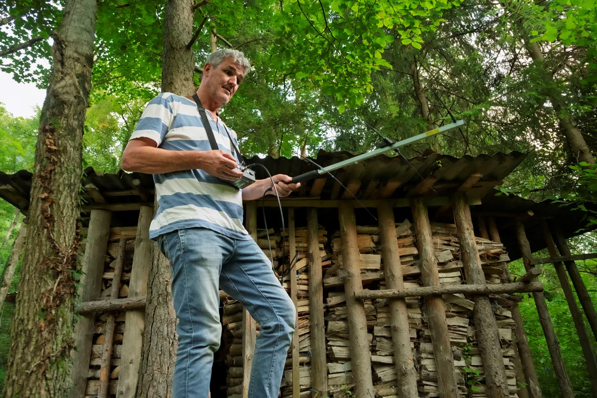 Uri UR – Imker bereiten sich auf Ausbreitung der Asiatischen Hornisse vor
