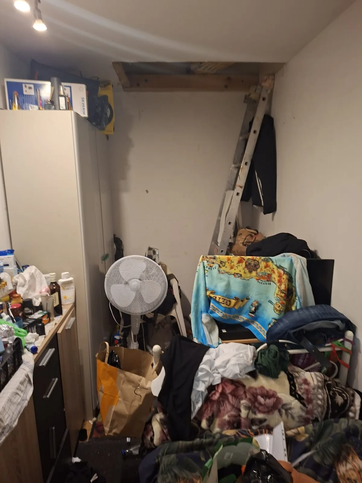 Ein unordentlicher Raum mit einer Leiter zu einer Öffnung in der Decke und verschiedenen Haushaltsgegenständen wie einem Ventilator, Decken und Kisten.