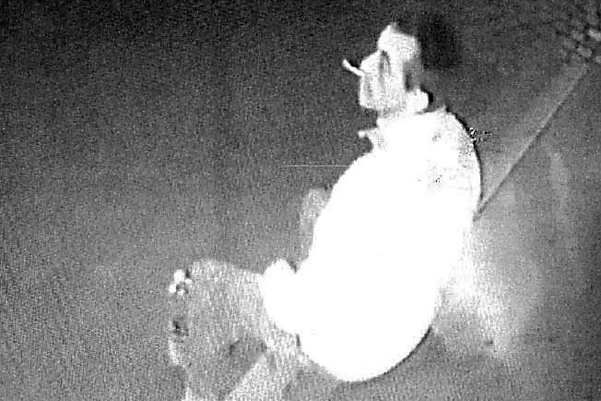 Gelsenkirchen - Öffentlichkeitsfahndung - Wer kennt die Einbrecher?