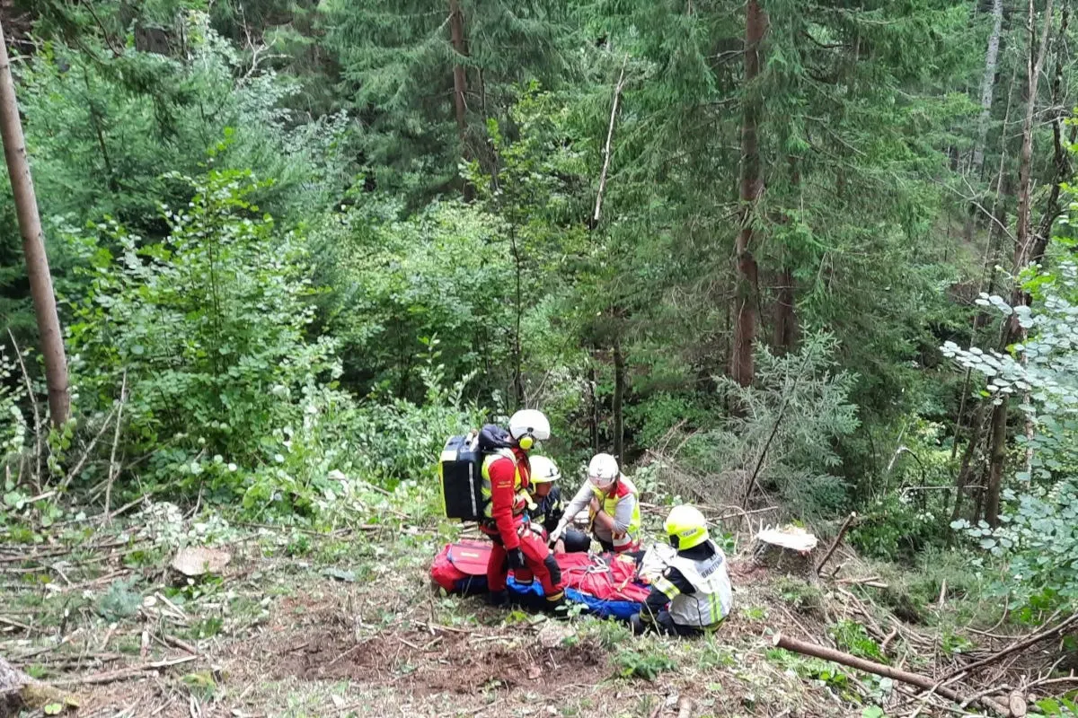 Drei Rettungskräfte befinden sich in einem Waldgebiet und versorgen eine Person auf einer Trage. Dichter Bewuchs umgibt die Szene.