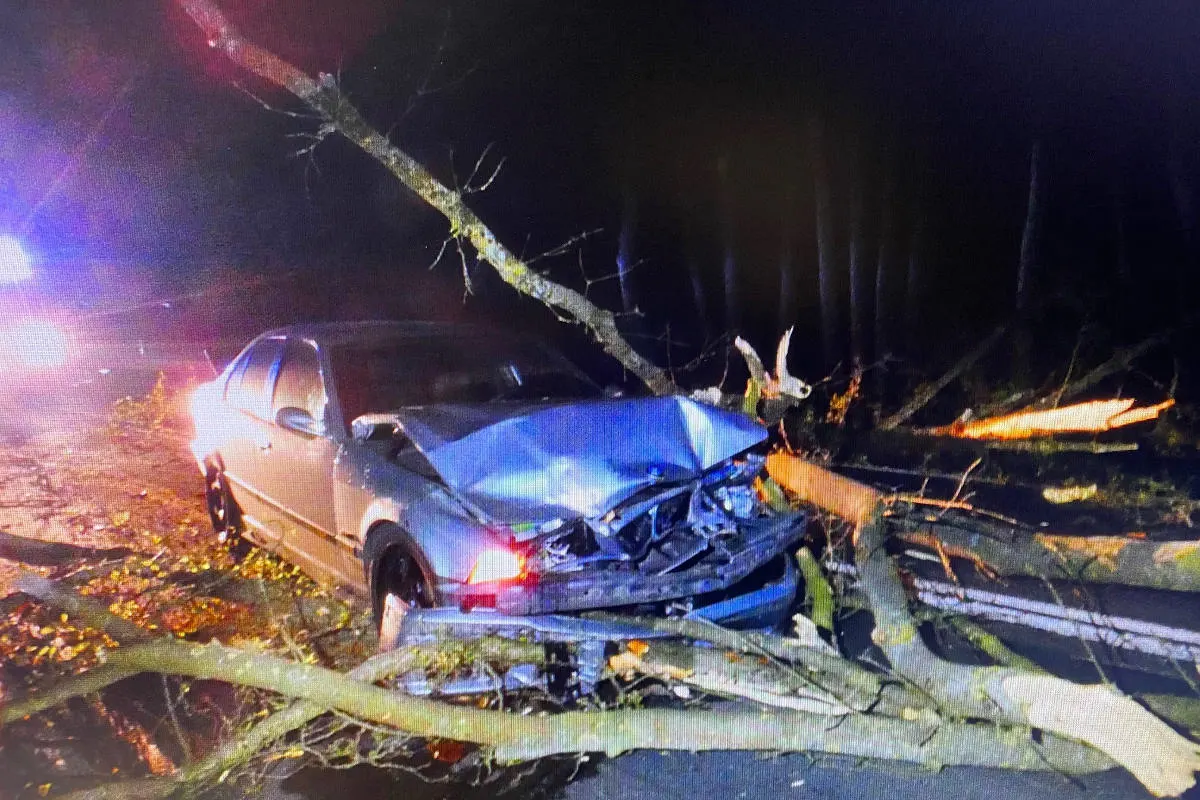Leizen – Baum fällt auf BMW