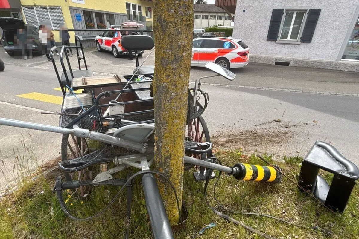 Ein verbogenes Verkehrsschild lehnt an einem Baum, daneben eine beschädigte Kutsche. Im Hintergrund sind zwei Polizeifahrzeuge sichtbar.