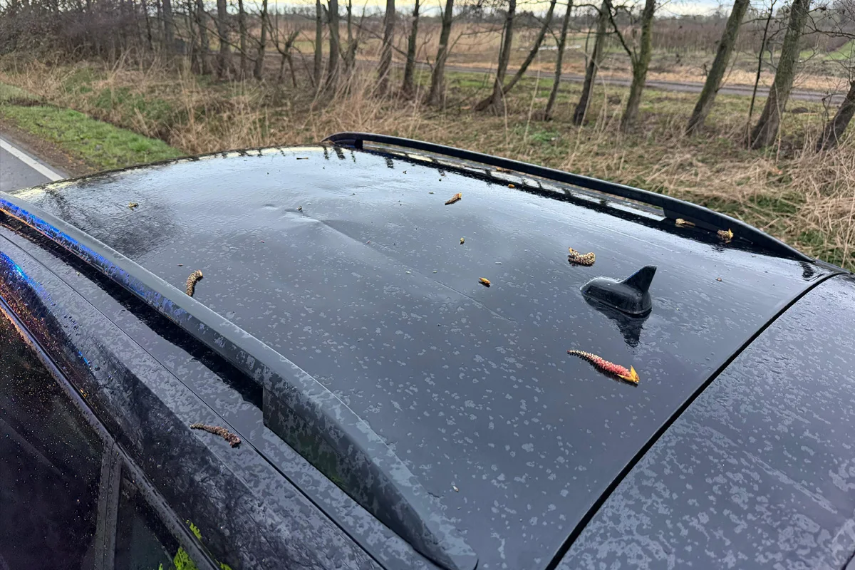 Jork – Baum stürzt auf Straße und beschädigt zwei Autos