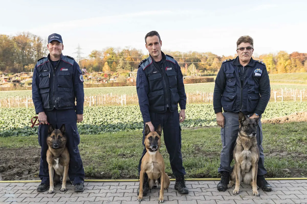 Bottmingen BL - Tobias Erzer mit „Yazz“ gewinnt die Polizeihundeprüfung 