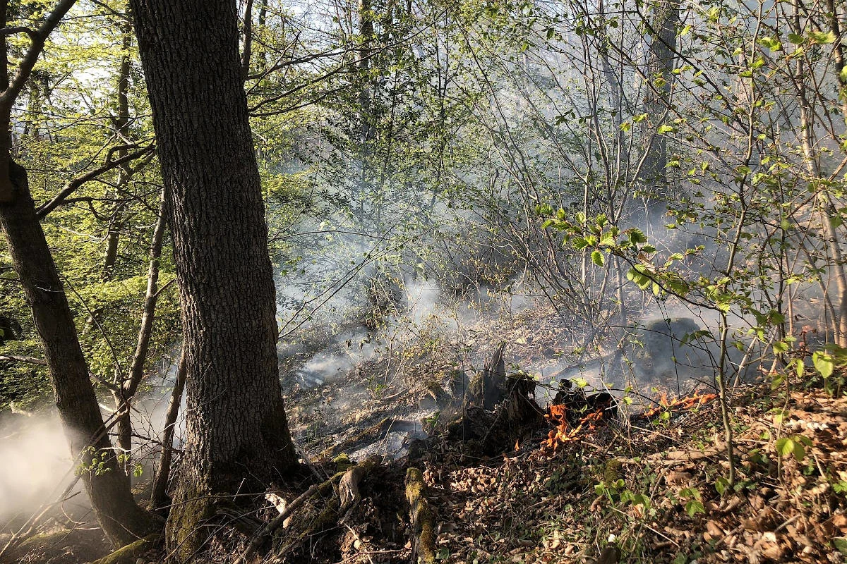 Arlesheim / Liesberg BL – Brandausbrüche im bewaldeten Gelände