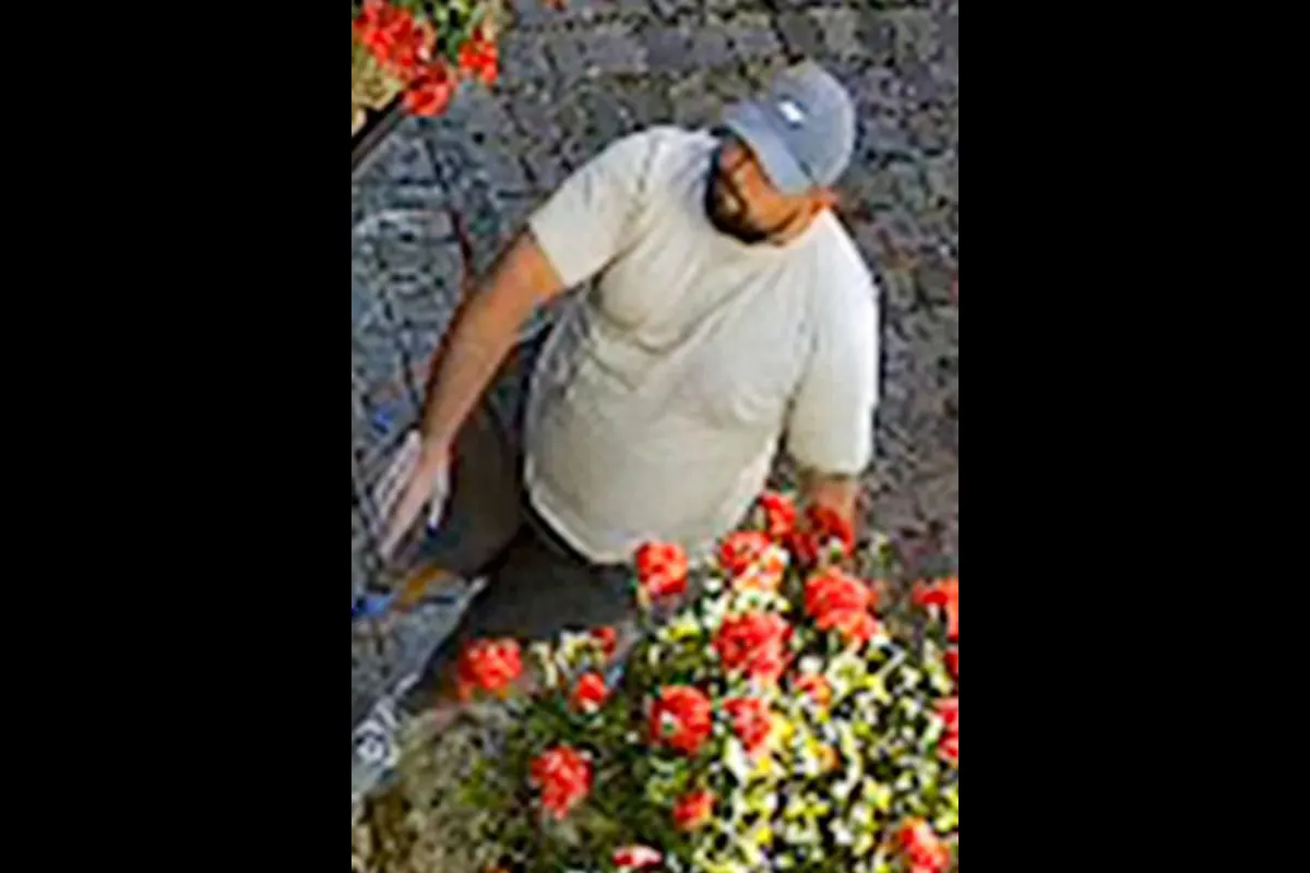 Ein Mann, der ein graues T-Shirt und eine Kappe trägt, bewegt sich neben einem blühenden Blumenbeet mit roten Blüten.