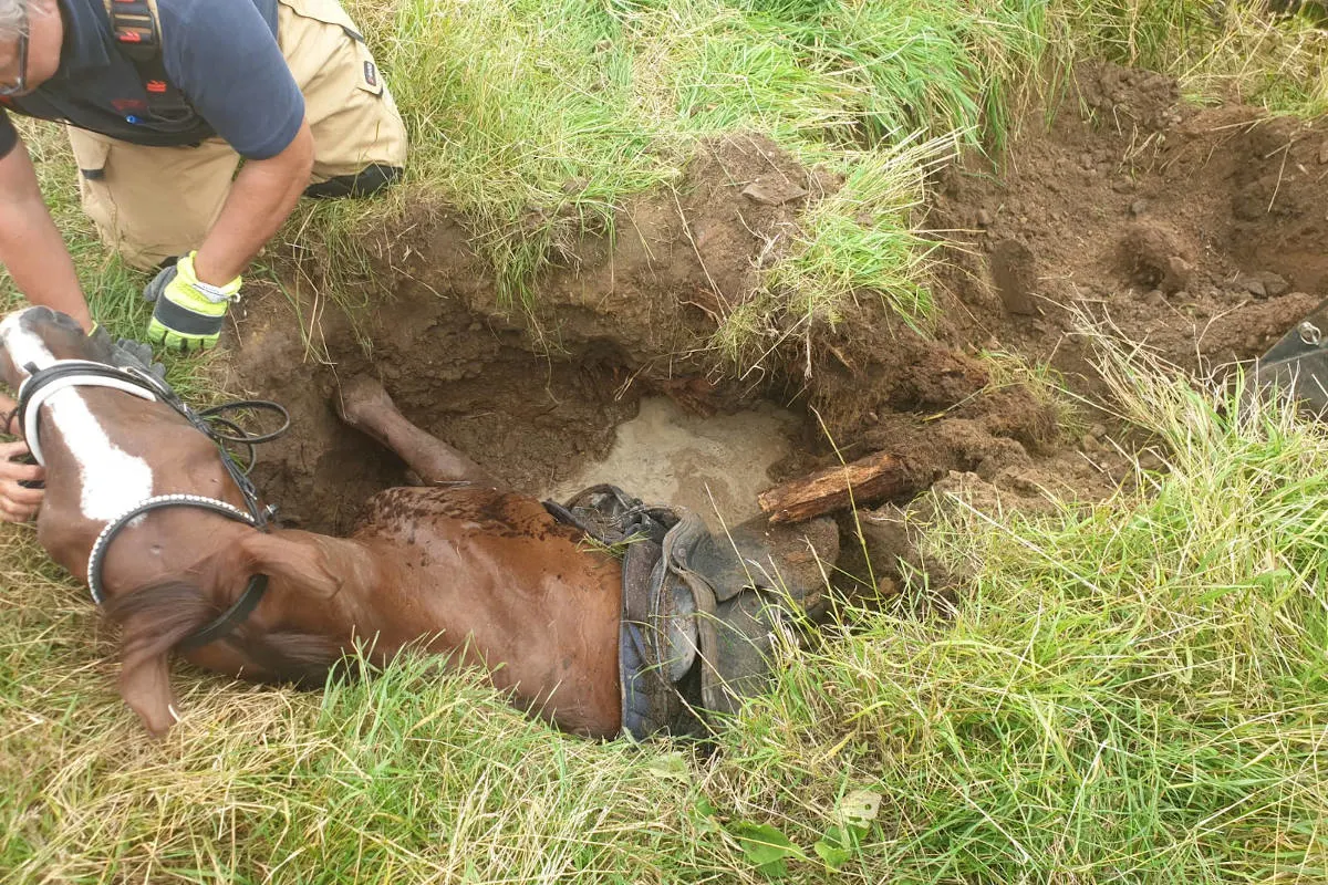 Bergisch Gladbach – Hochwasserschäden sorgen für Reitunfall