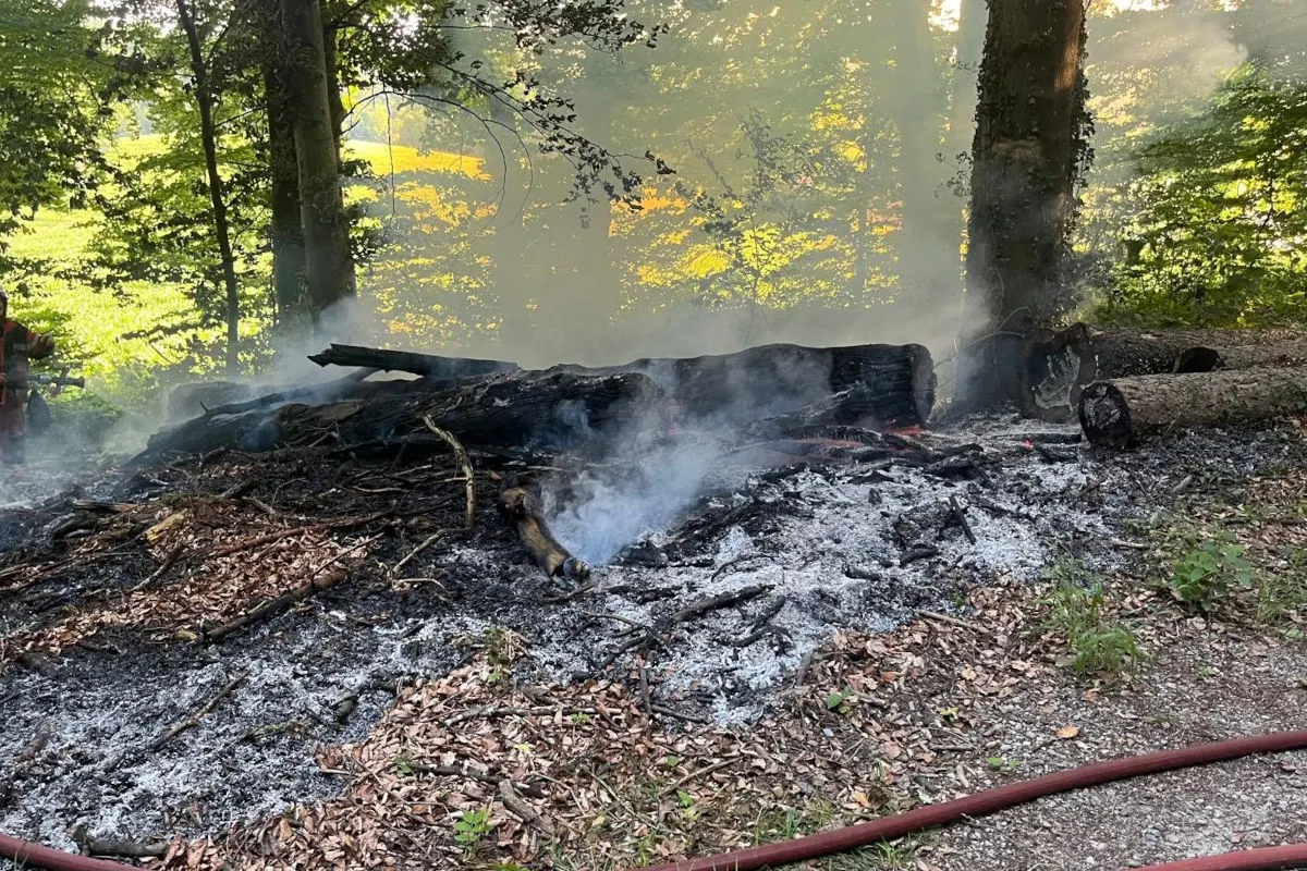 Oberneunforn TG – Waldboden und Bäume geraten in Brand