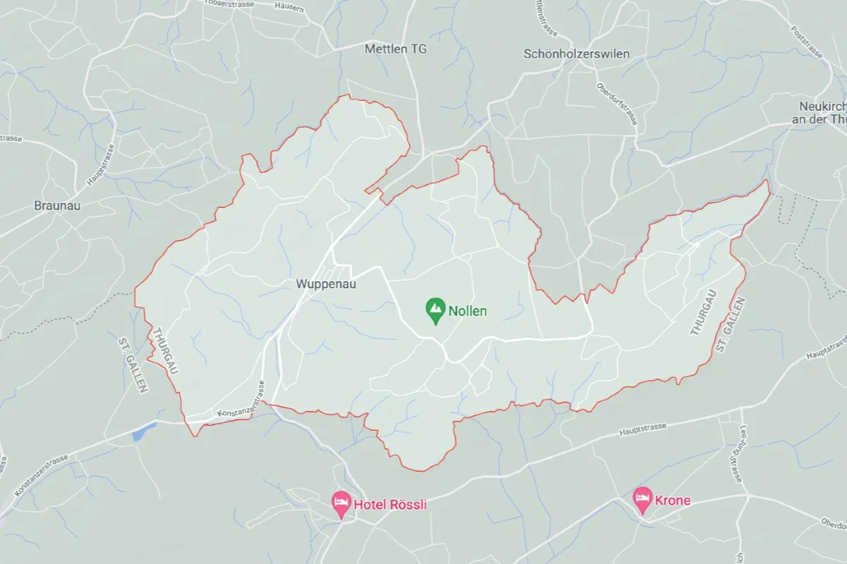 Wuppenau TG - Niemand bei Heckenbrand verletzt