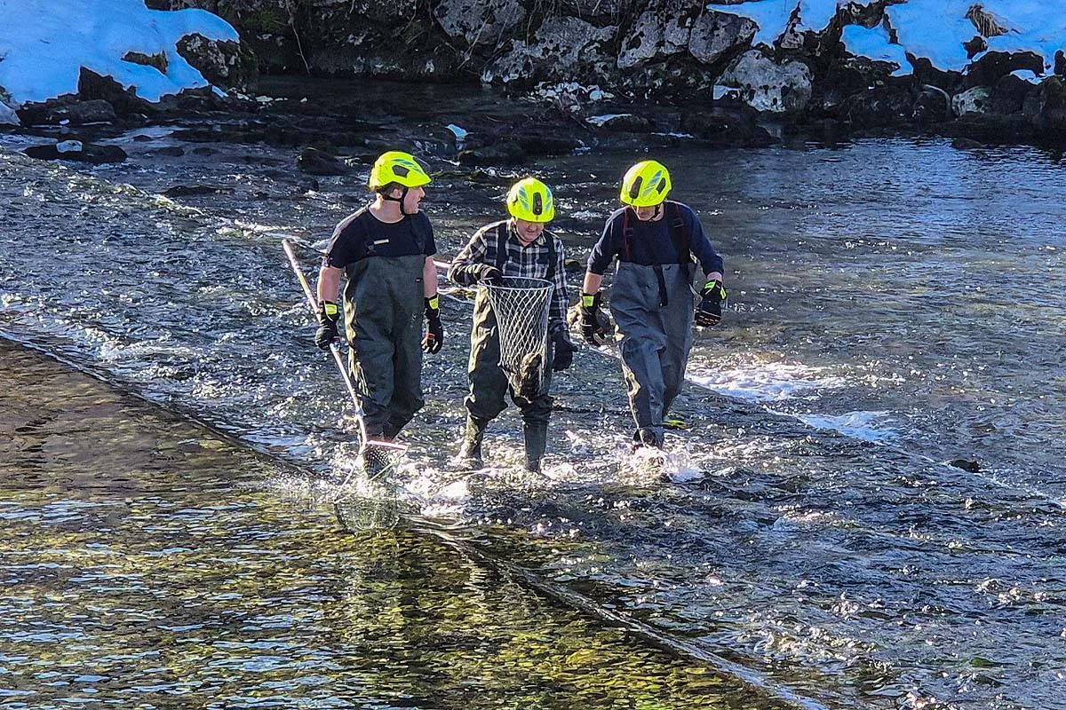 Bad Goisern – Feuerwehr rettet verletzten Kormoran aus der Traun