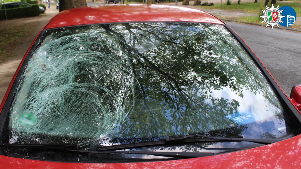 Ein rotes Fahrzeug steht am Straßenrand, die Windschutzscheibe ist mehrfach zersprungen. Im Hintergrund sind Bäume sichtbar.