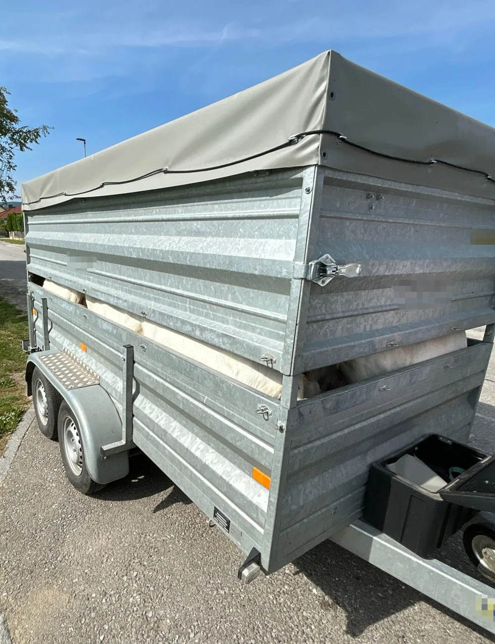Melk NÖ – Fahrzeuglenker wegen Tierquälerei angezeigt  