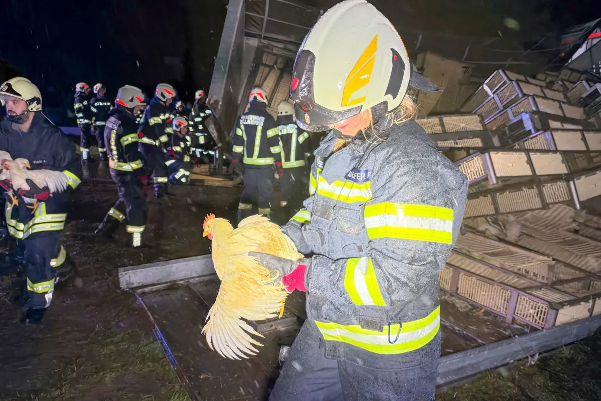 Feuerwehrleute tragen Hühner aus einem umgestürzten Transporter; im Hintergrund sind weitere Einsatzkräfte zu sehen.