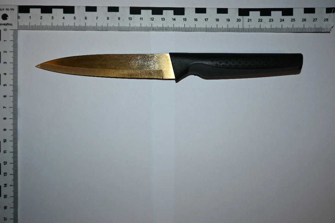 Ein Küchenmesser mit schwarzem Griff liegt auf einem flachen Untergrund neben einem Maßstab zur Größenbestimmung.