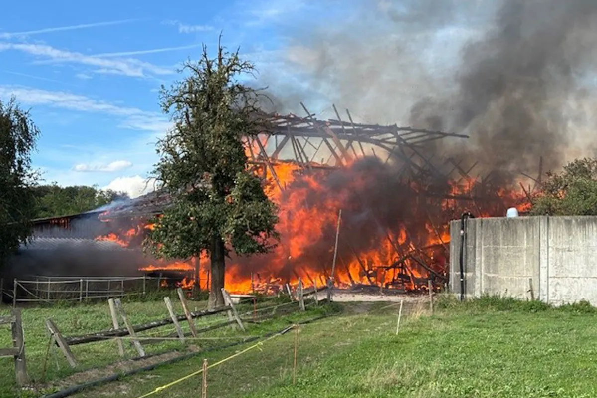 Ein großes landwirtschaftliches Gebäude steht in Flammen, wobei große Rauchwolken aufsteigen. Im Vordergrund befinden sich ein Baum und ein angrenzender Zaun.