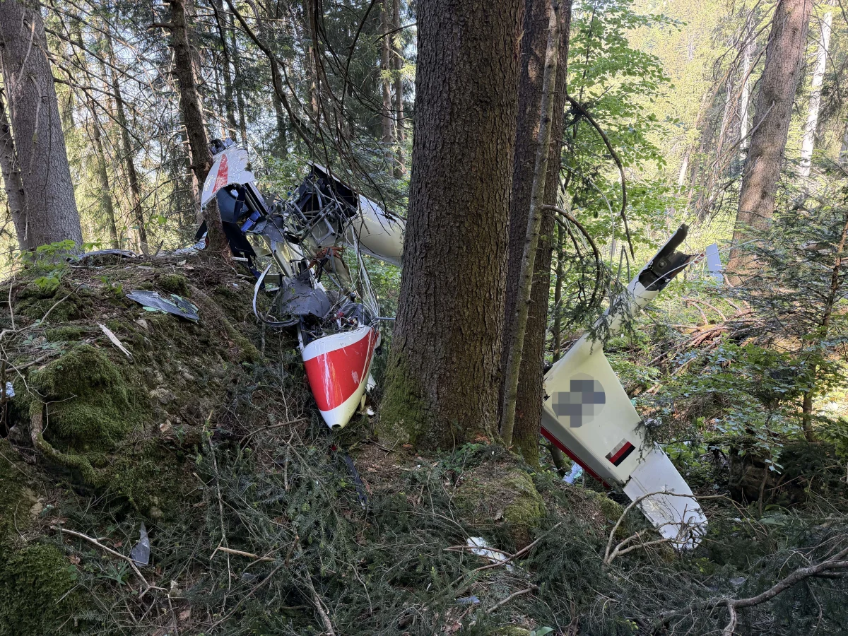Ein Kleinflugzeug ist im Wald abgestürzt, Teile des Wracks hängen an einem Baum; umliegende Vegetation ist unbeschädigt.