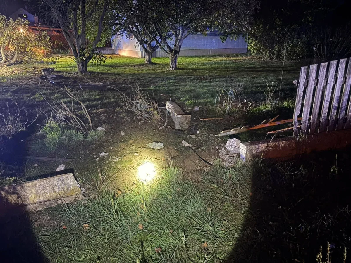 Ein Taschenlampenlicht erhellt einen Bereich auf einer Wiese, wo ein Zaun beschädigt wurde. Im Hintergrund sind Bäume und ein Gebäude sichtbar.