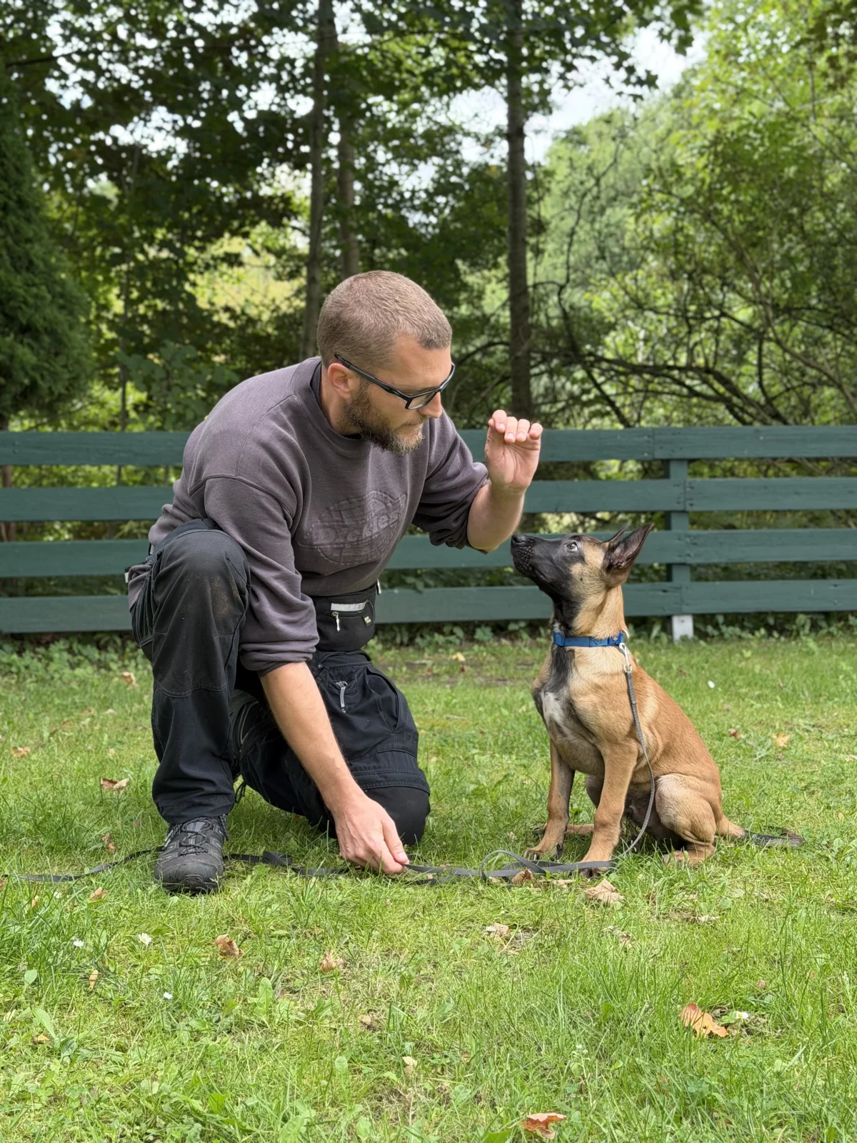 Ein Mann kniet auf einer Wiese und gibt einem jungen Hund, der angeleint ist, ein Kommando. Im Hintergrund sind Bäume zu sehen.