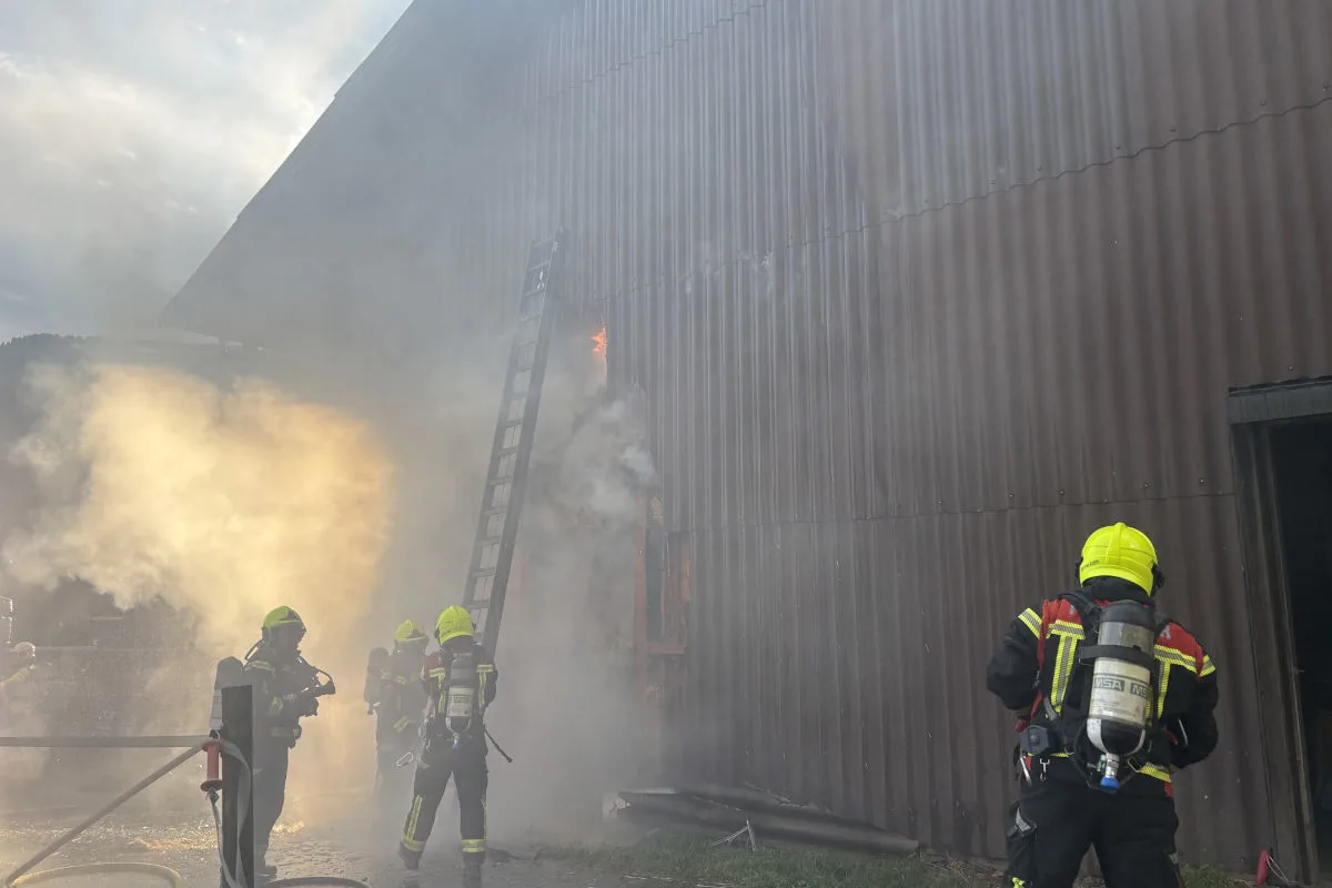 Mehrere Feuerwehrleute in Schutzanzügen stehen vor einem verrauchten Gebäude und bekämpfen einen Brand. Rauch dringt aus dem Gebäude, während eine Leiter an der Wand lehnt.