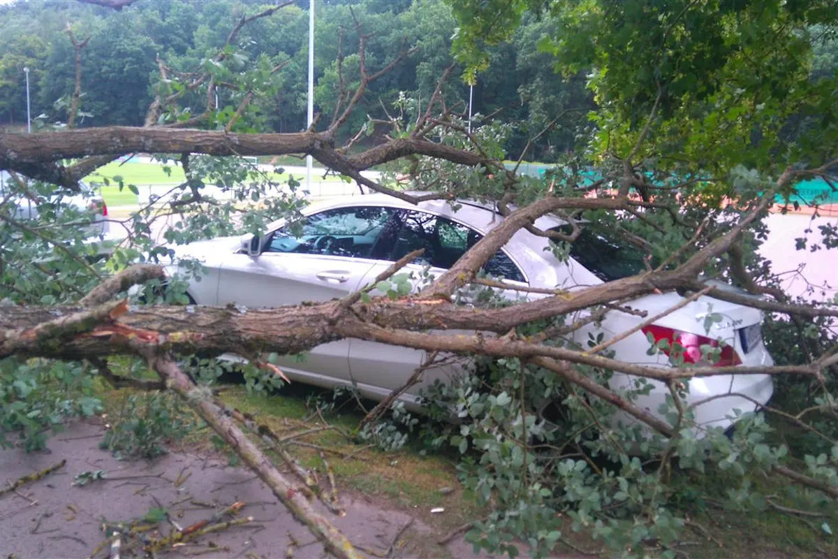 Hüffler – Umgestürzter Baum kracht auf Auto