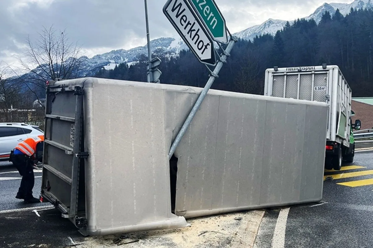 A8 in Kerns OW - Anhänger mit Rindern umgekippt 