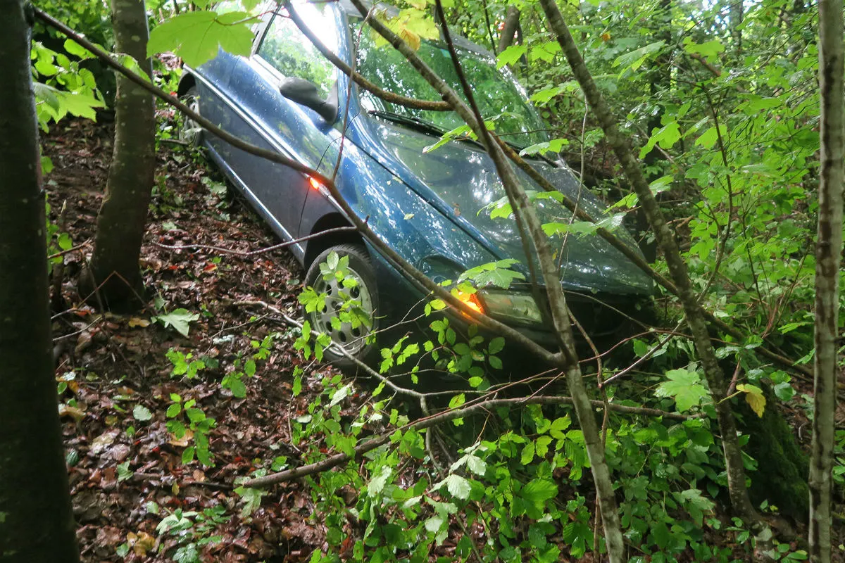 Winterthur ZH - Selbstunfall endet im Grünen