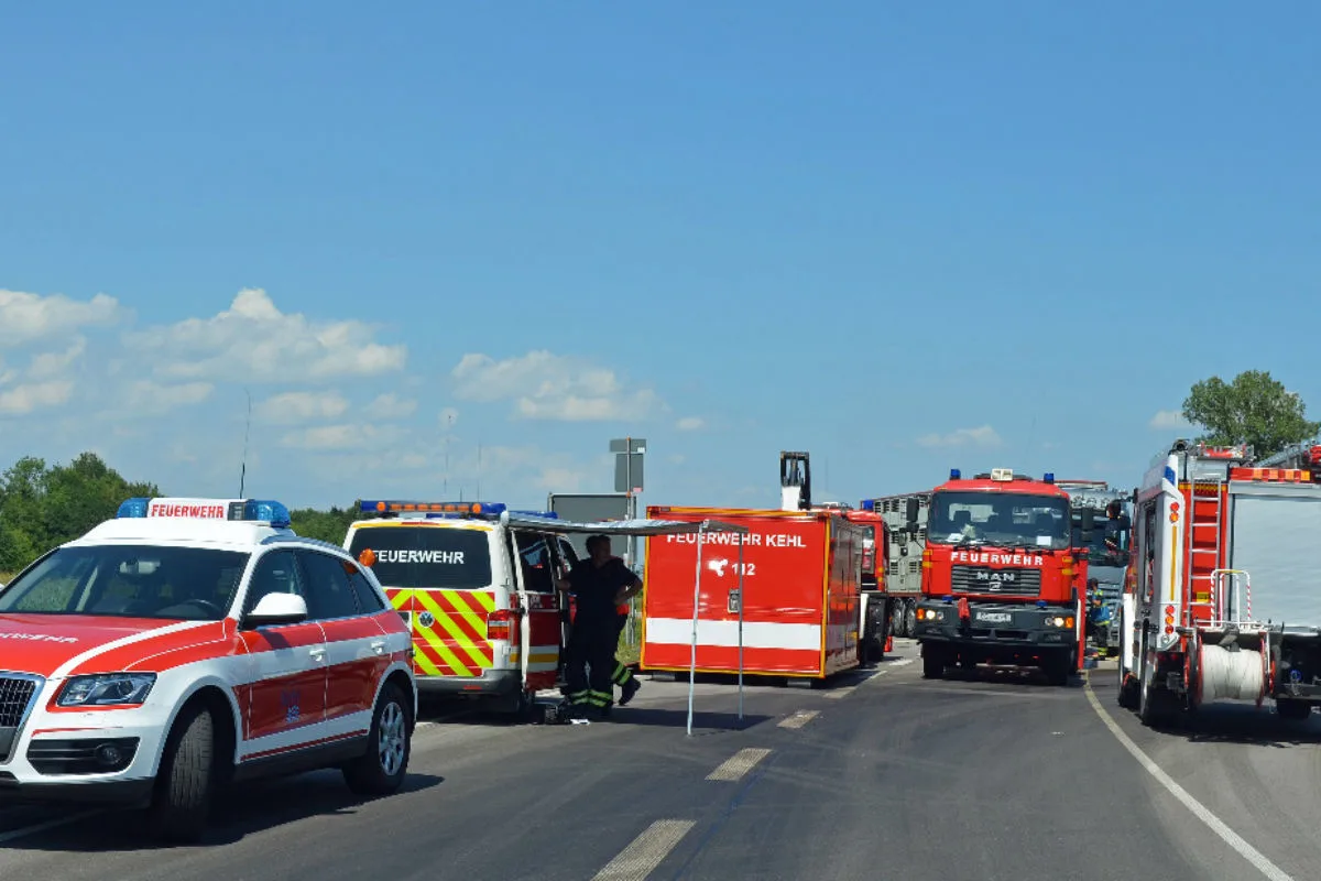 Schwein gehabt - Feuerwehr rettet 30 Schweine vor Hitzetod