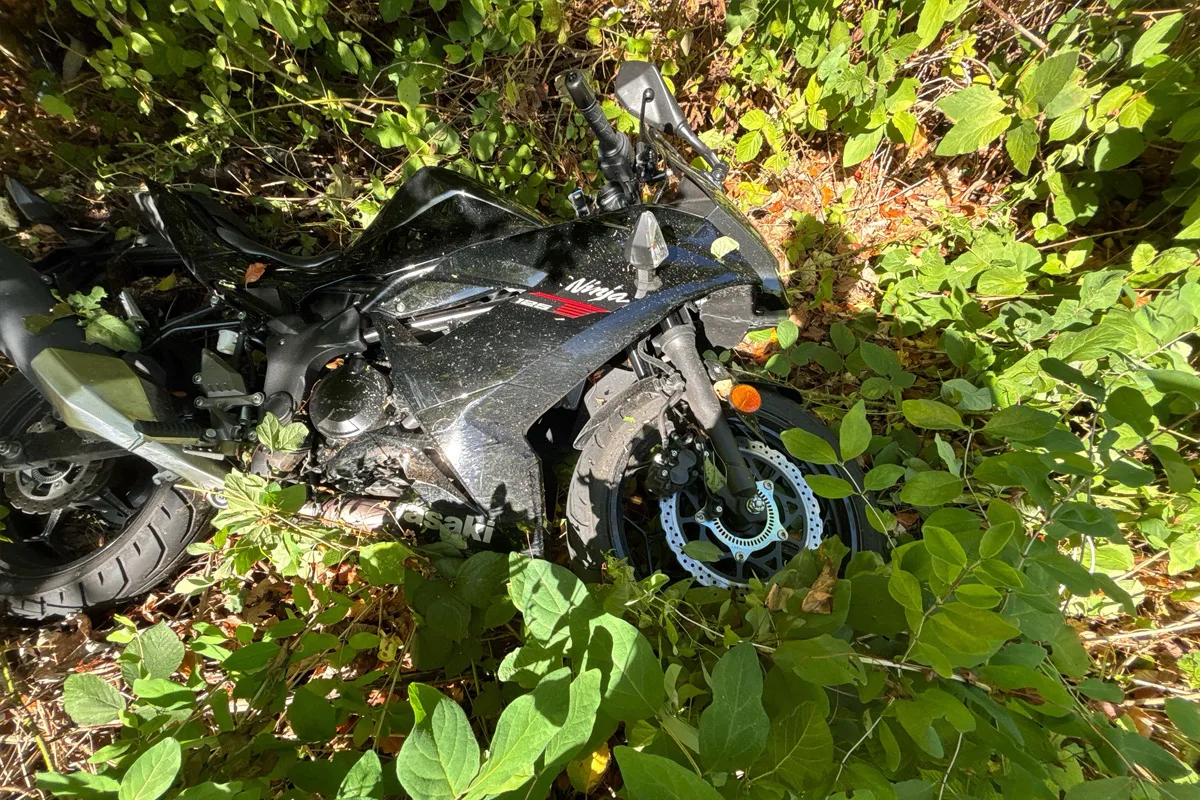 Ein schwarzes Motorrad befindet sich seitlich liegend in einem dichten grünen Gebüsch. Das Fahrzeug ist beschädigt.