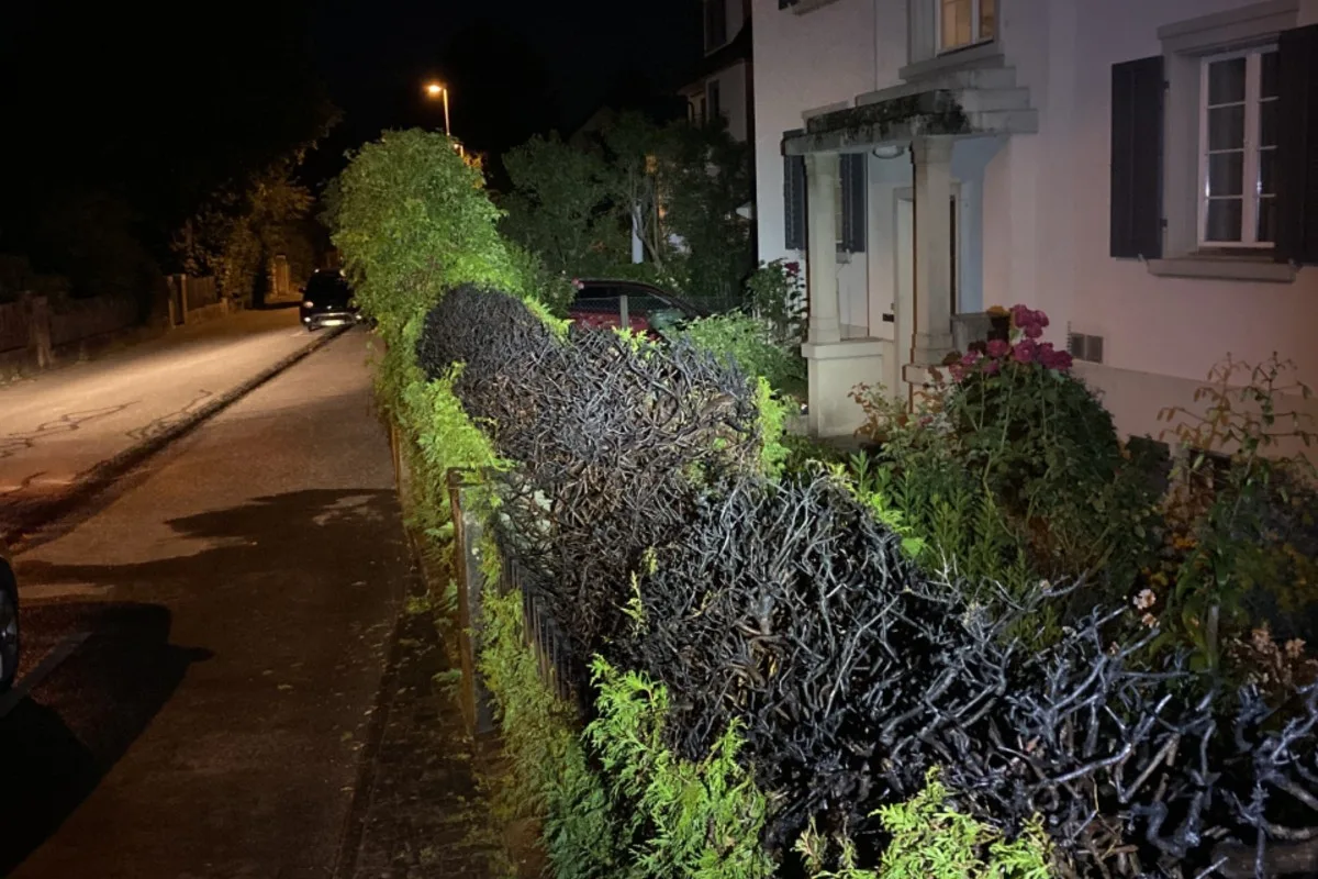 Zeugenaufruf in Schaffhausen -  Heckenbrand konnte rechtzeitig gelöscht werden