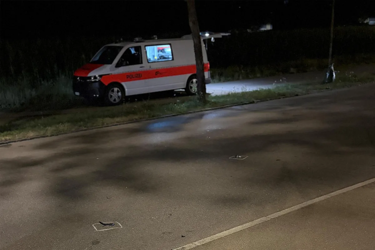 Ein Van der Polizei mit gut sichtbarem Schriftzug steht bei Dunkelheit am Straßenrand. Der Bereich ist schwach beleuchtet.