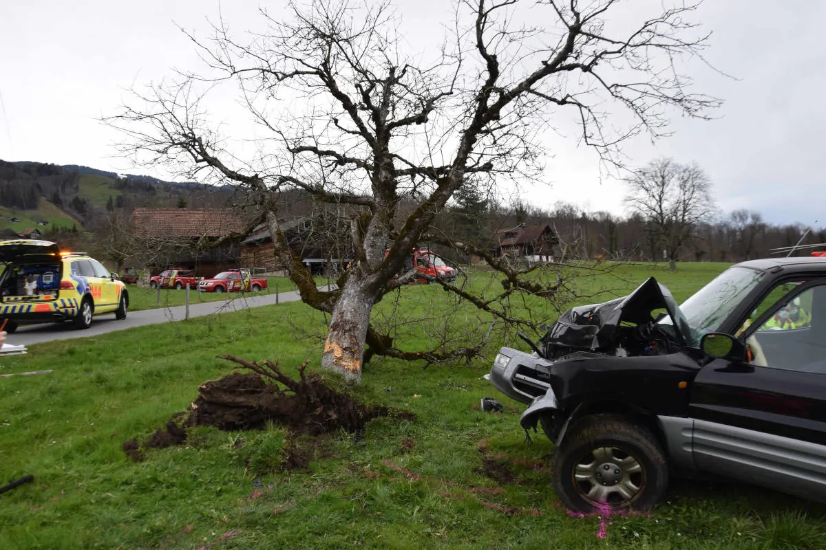 Giswil OW – Baum entwurzelt bei Kollision – zwei schwer verletzte Personen 
