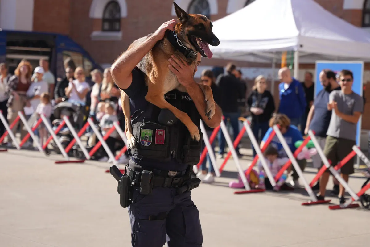 Tag der Wiener Polizei  – Einblicke in die Polizeidiensthundeeinheit