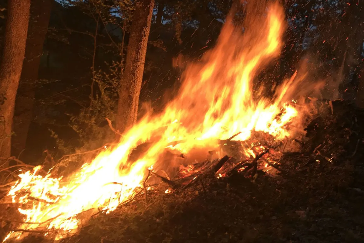 Reigoldswil BL - Jugendliche Brandstifter ermittelt