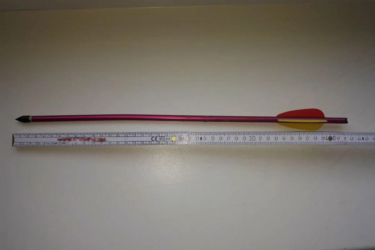 Schaf mit Pfeil aus Armbrust beschossen