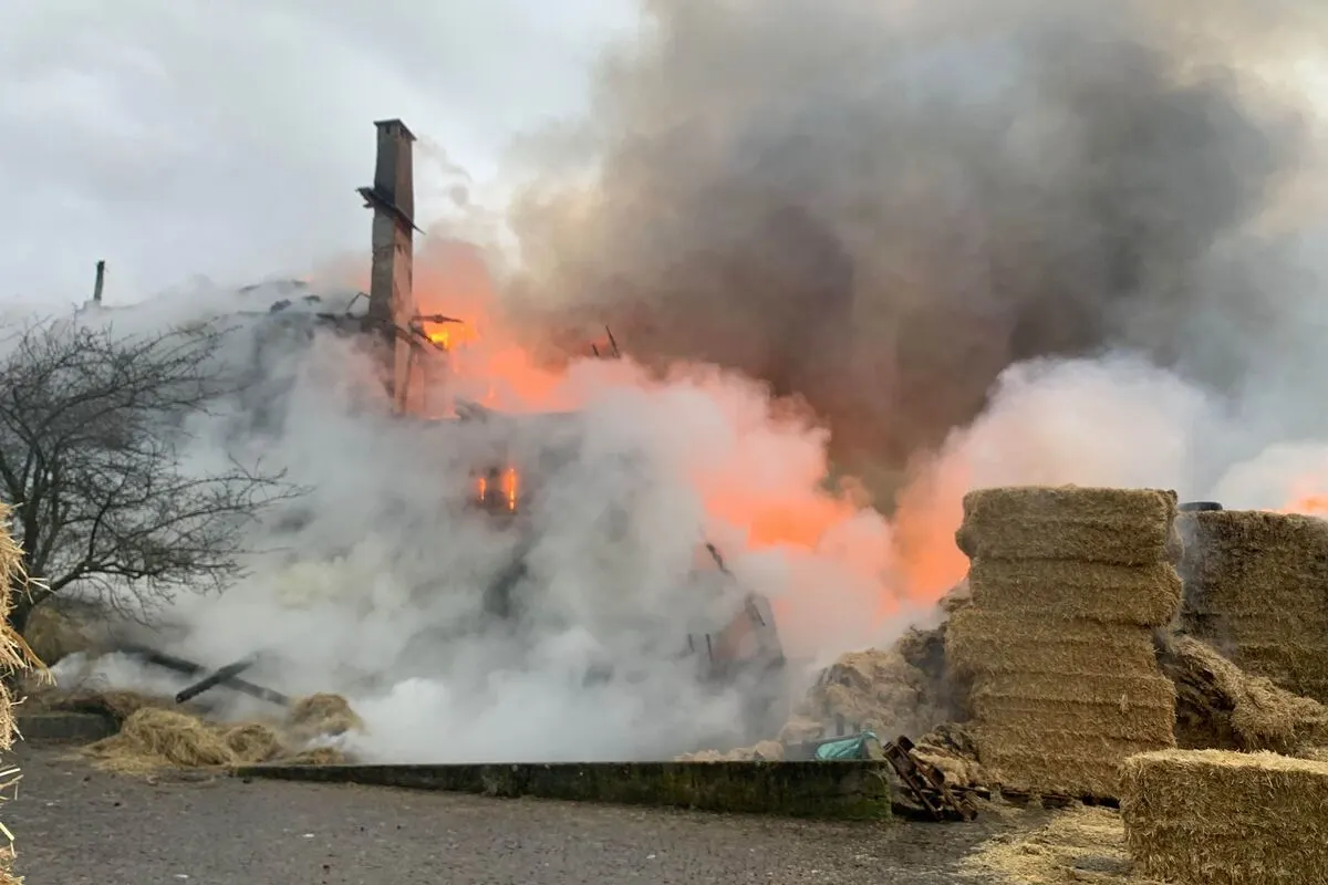 Günsberg SO - Feuer zerstört Oekonomiegebäude