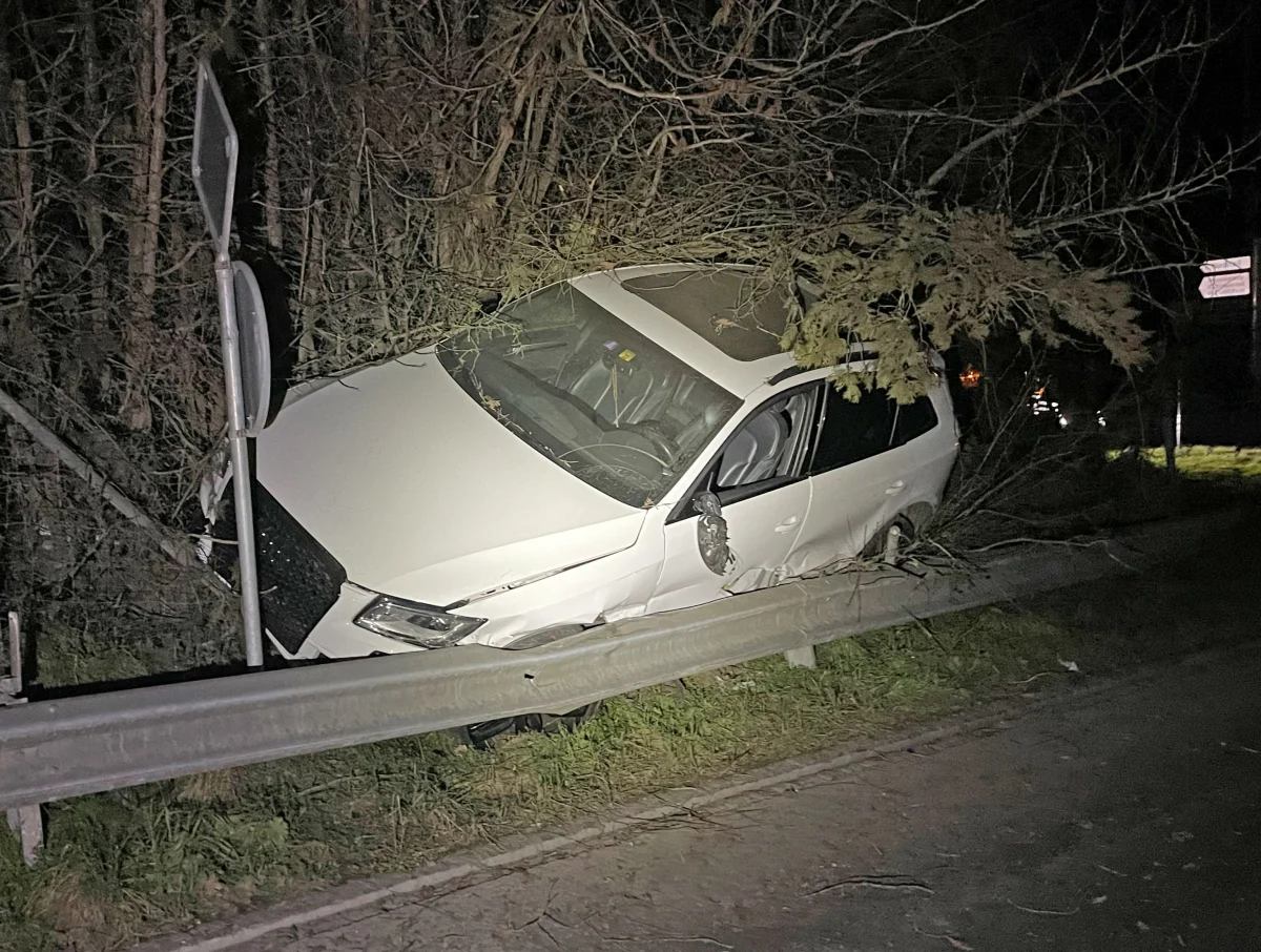 Frauenfeld TG – Alkoholisiert in Wildzaun und Leitplanke gekracht
