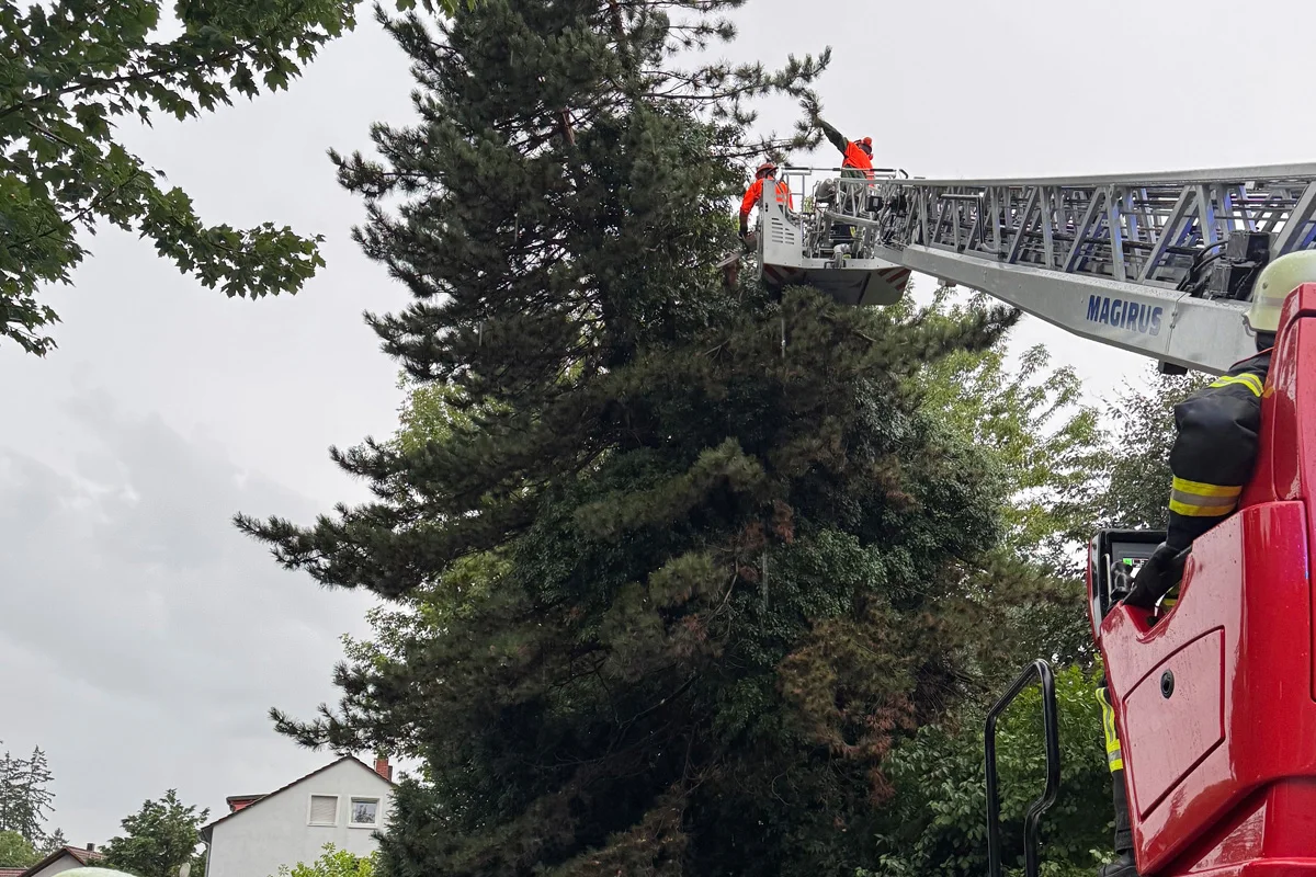 Offenburg BW – Unwetter verursacht überflutete Straßen und Sturmschäden