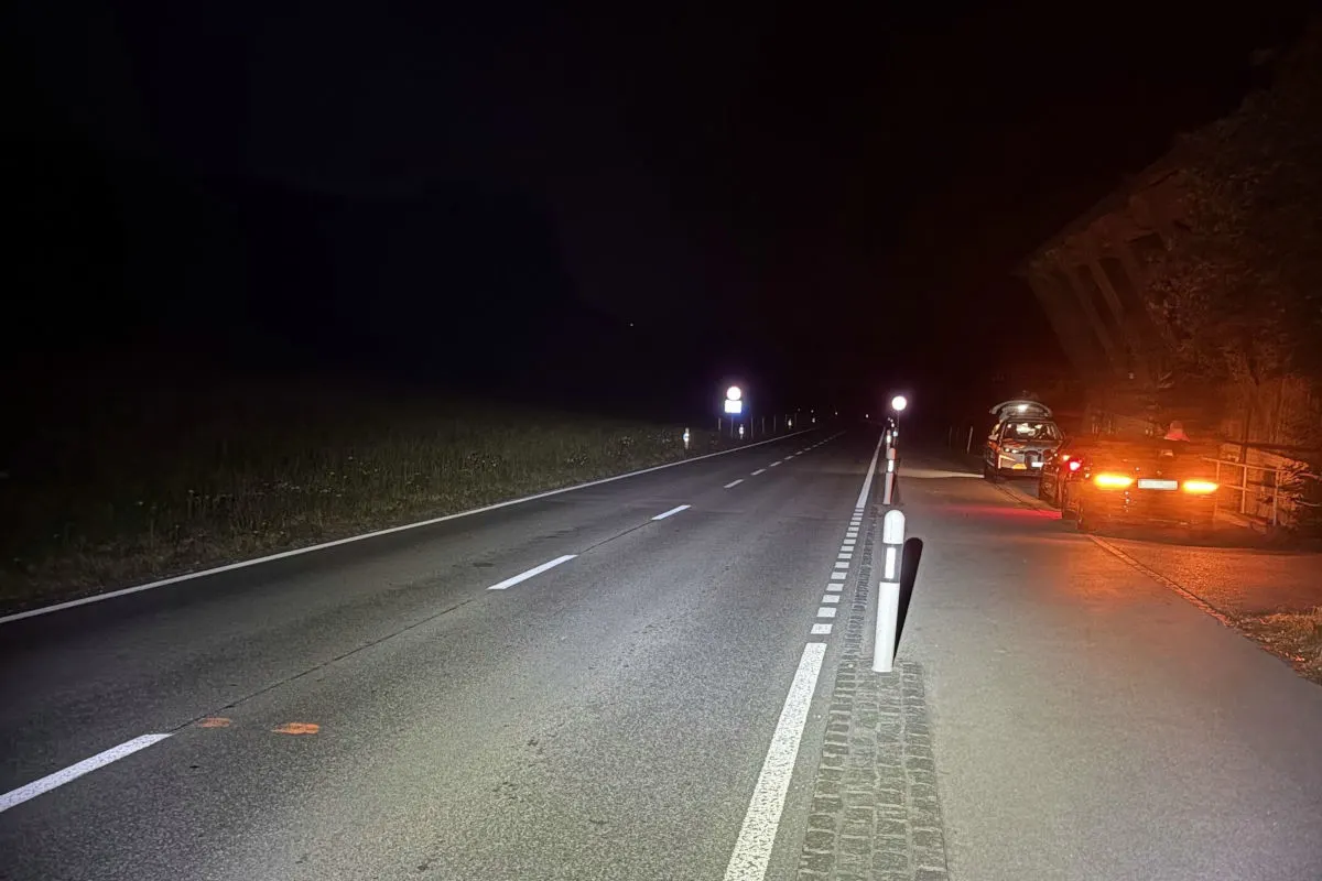 Ein Auto steht nachts am rechten Straßenrand mit eingeschaltetem Rücklicht. Die Umgebung ist dunkel und die Straße ist wenig beleuchtet.